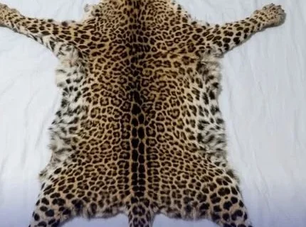 Two men sentenced to life imprisonment over wildlife trophies in Malindi