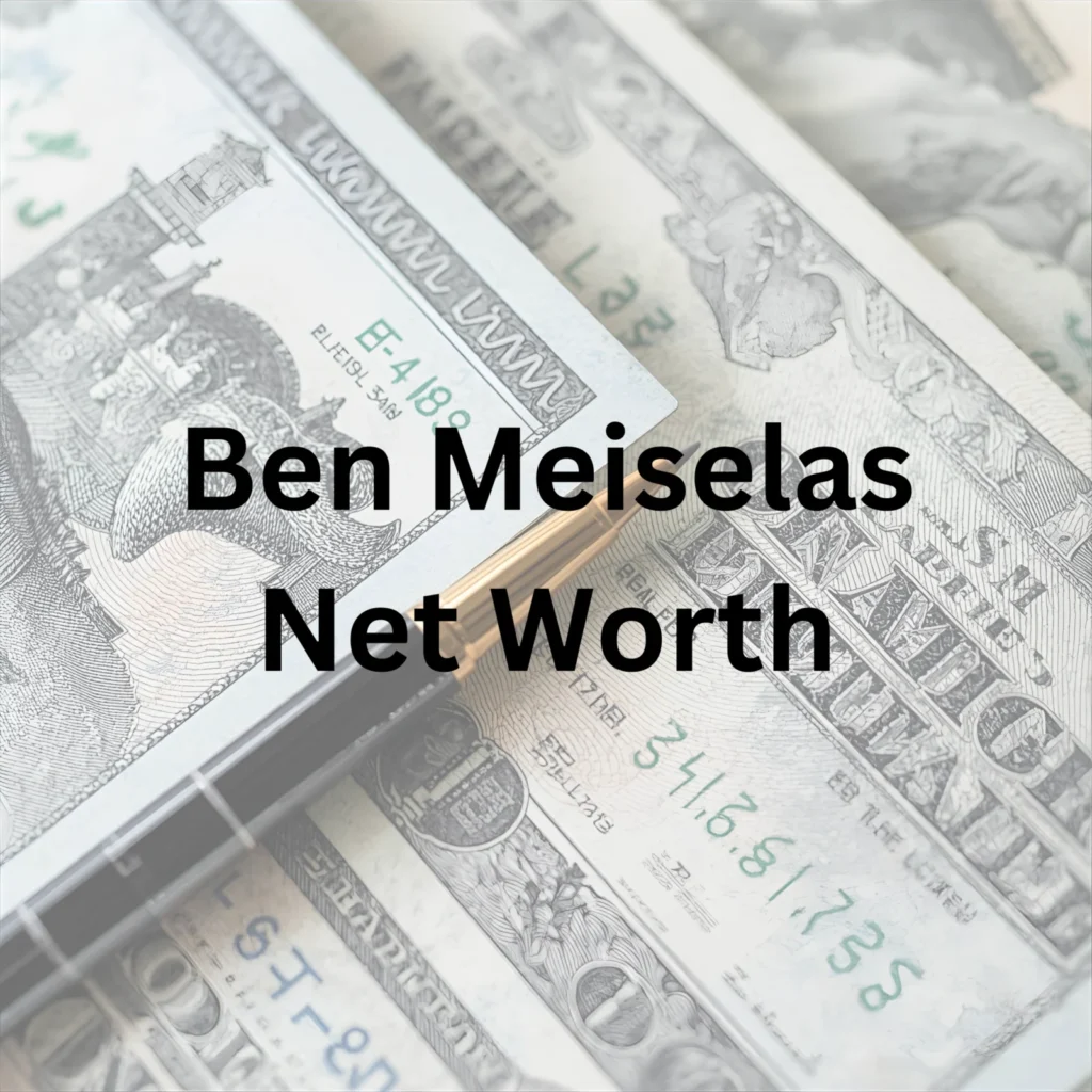 Ben Meiselas net worth