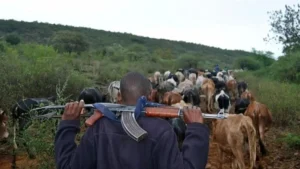 Armed bandits raid Marsabit Manyattas, steal more than 600 livestock, kill one person