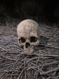 Human remains found in Makueni bush believed to be missing man