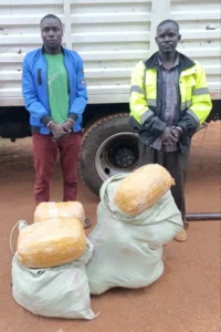 Four Arrested as Detectives Seize Cannabis Worth Sh1.7 Million in Busia and Bungoma