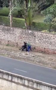 Second suspect arrested over viral Parklands robbery