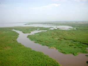 Man, 40, drowns while fishing in river Kipsiwo in Nandi County