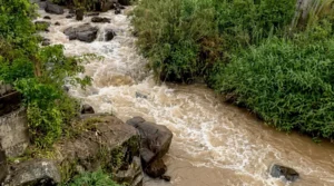 Grade 9 student, 13, drowns in River Yala in Siaya