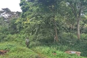 Man found hacked to death in forest in Homa Bay