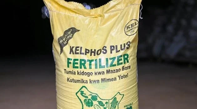 Fertiliser Subsidies Boost Maize Production to 71 Million Bags, President Ruto Says