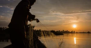 Fisherman injured after KWS ranger opens fire during Lake Victoria patrol in Siaya