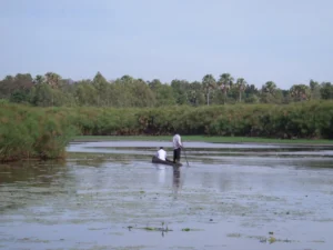 Unidentified man found dead in River Sio in Busia