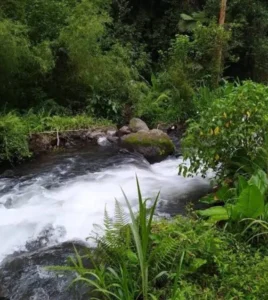 Tragedy as two pupils drown while attempting to retrieve water jerrycan in Tharaka Nithi