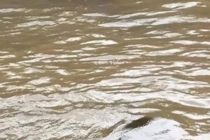 Missing Kiambu man found dead in Thiririka River