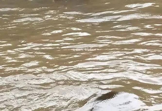 Missing Kiambu man found dead in Thiririka River