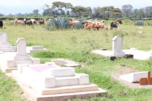 12 accused to face defence in Sh283.2 million Nairobi cemetery land scandal